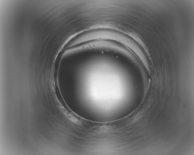 X0000067870984200604131231