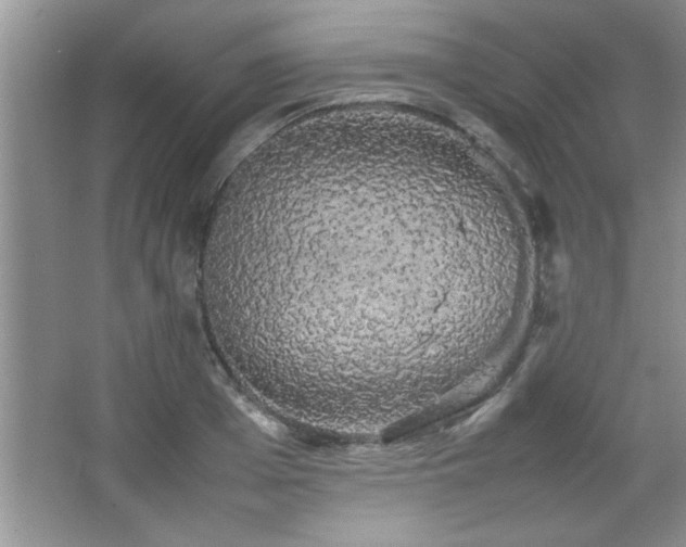 X0000067870985200604131231