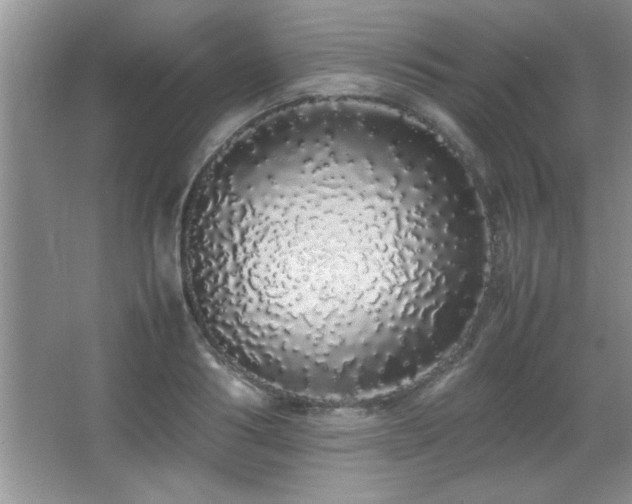 X0000067870986200604131231