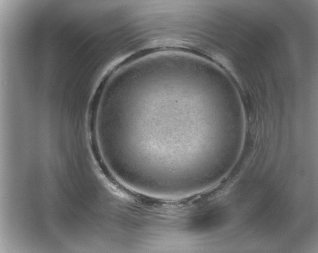 X0000067870987200604131231