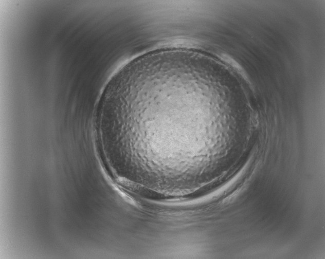 X0000067870989200604131231