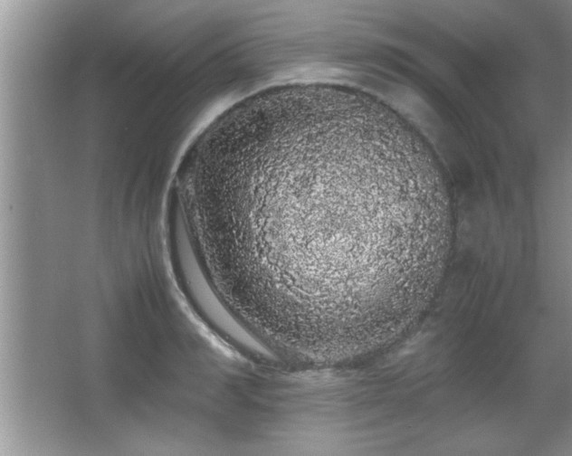 X0000067870990200604131231