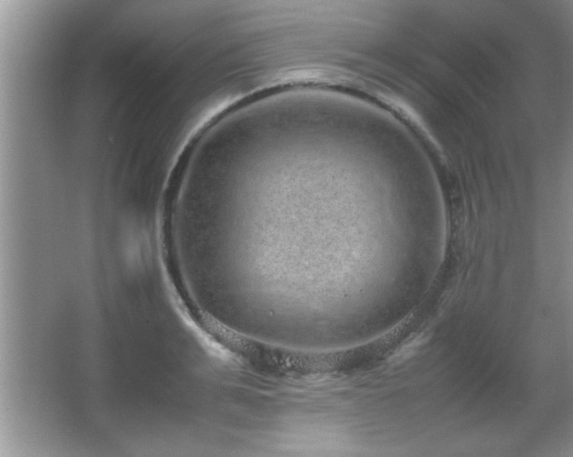 X0000067870991200604131231