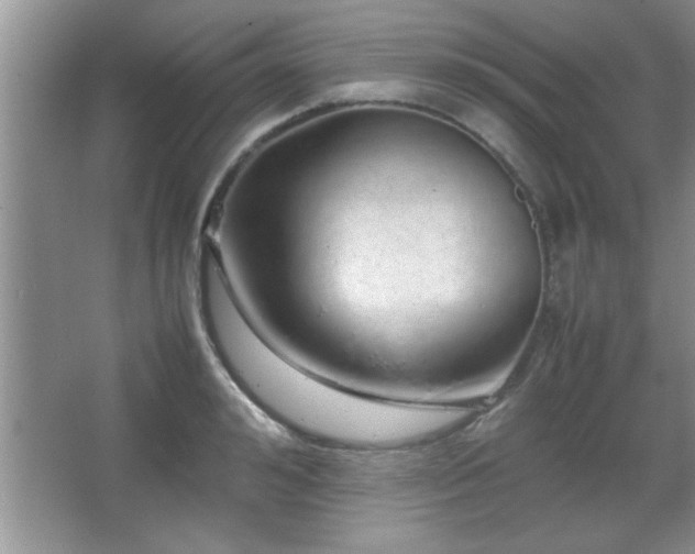 X0000067870992200604131231