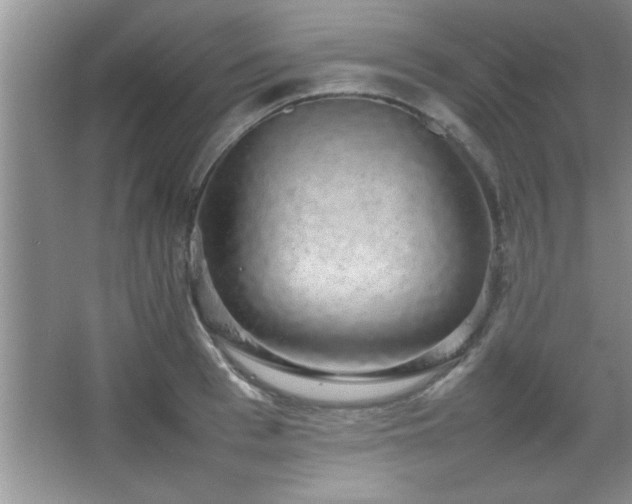 X0000067870993200604131231