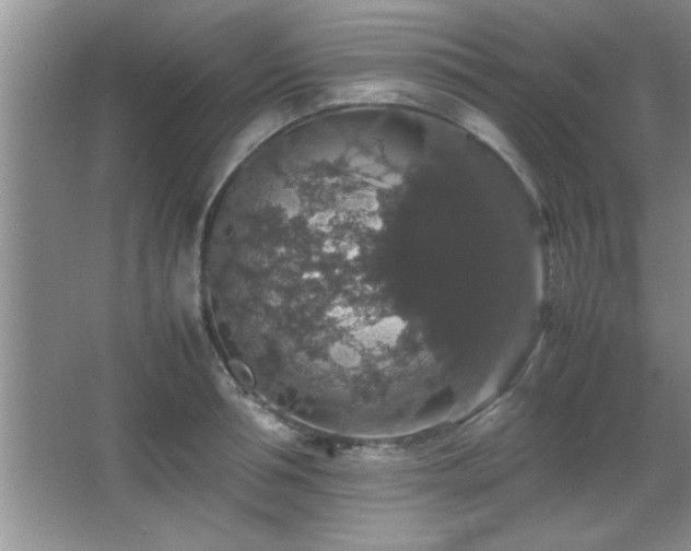 X0000067870994200604131231