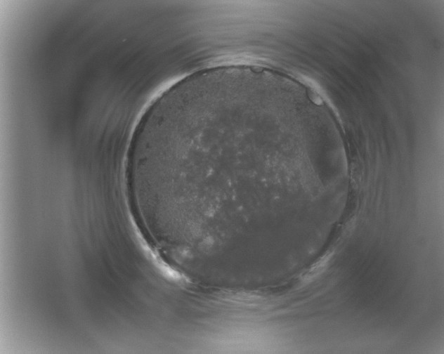 X0000067870995200604131231