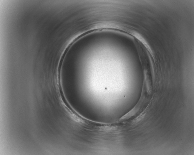 X0000067870996200604131231