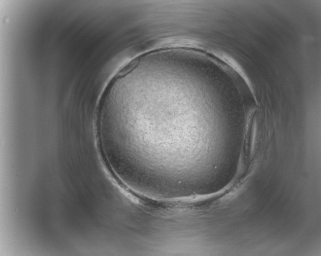 X0000067870997200604131231