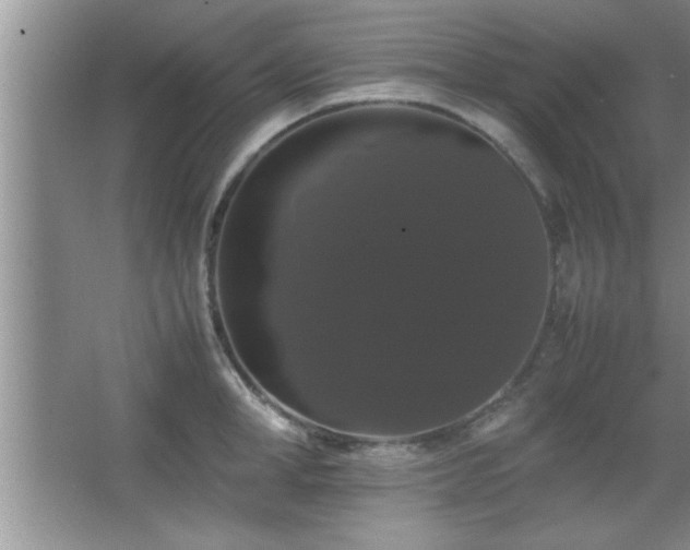 X0000067870998200604131231