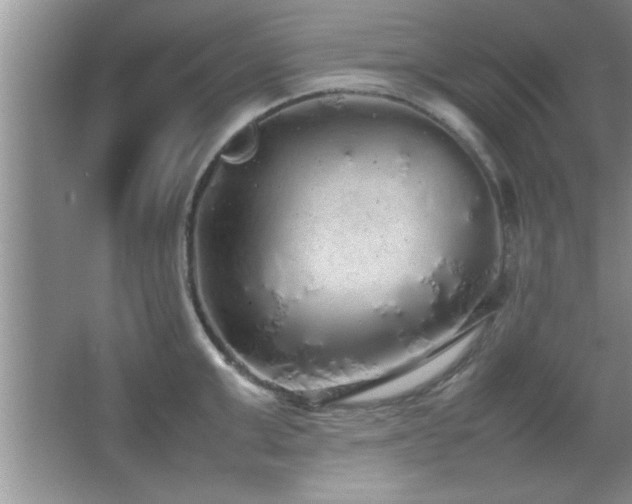 X0000067870999200604131231