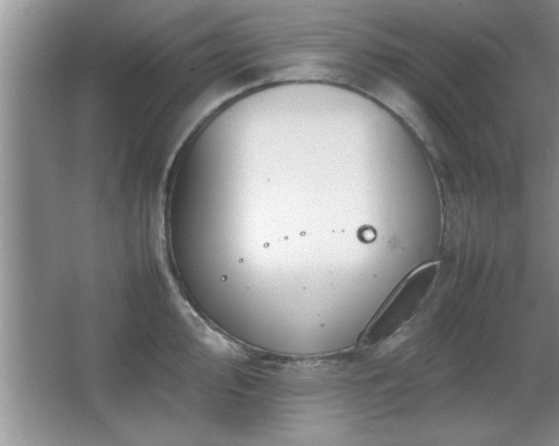 X0000067871000200604131231