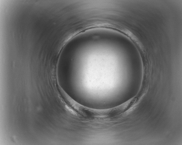 X0000067871001200604131231