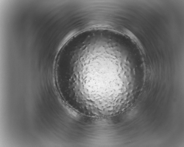 X0000067871002200604131231