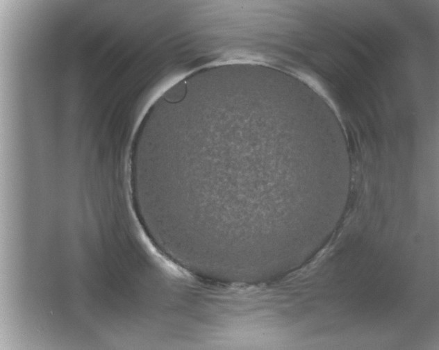 X0000067871003200604131231