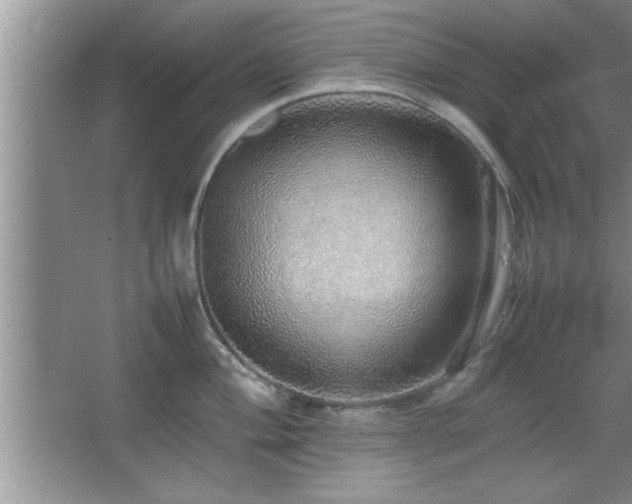 X0000067871004200604131231