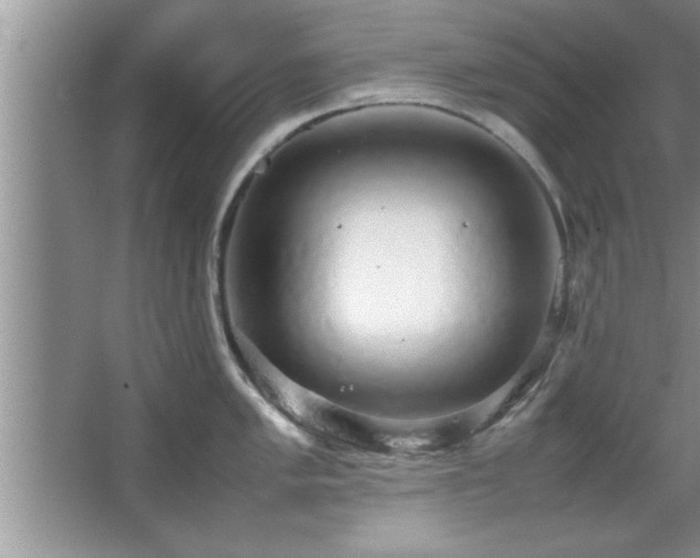 X0000067871005200604131231