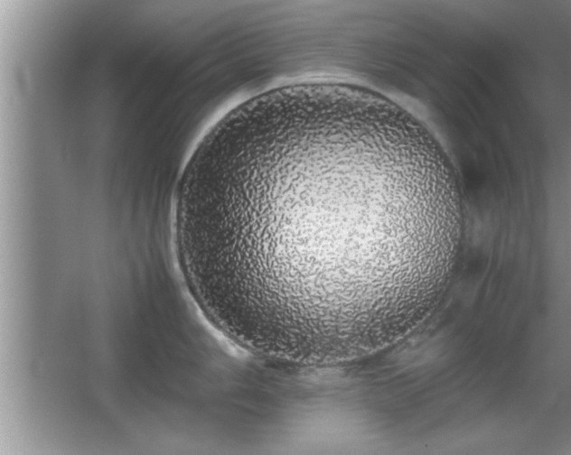 X0000067871006200604131231