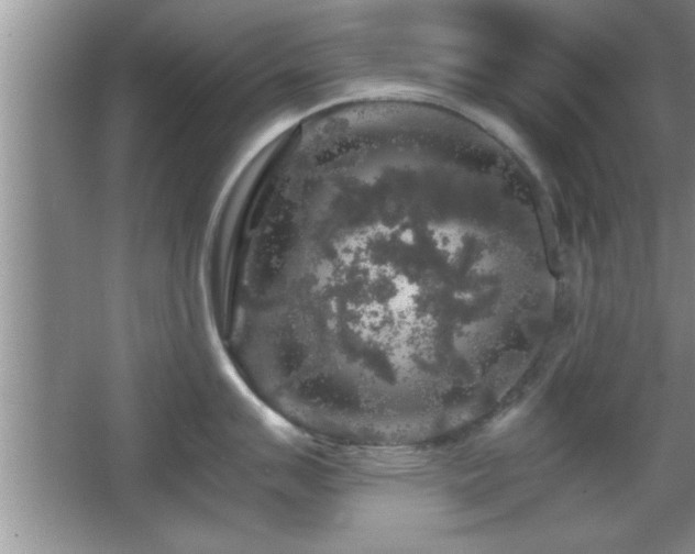 X0000067871007200604131231