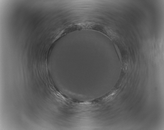 X0000067871010200604131230