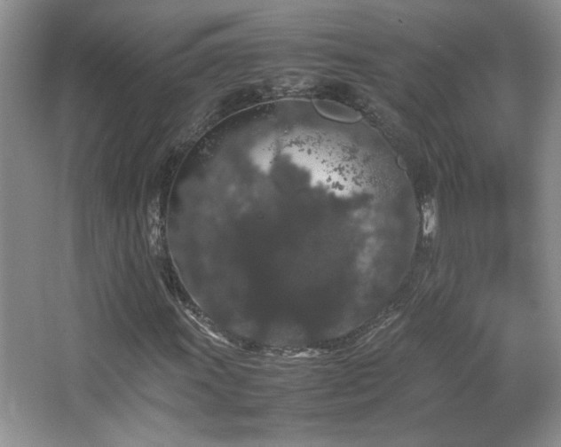 X0000067871011200604131230