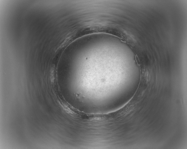 X0000067871012200604131230