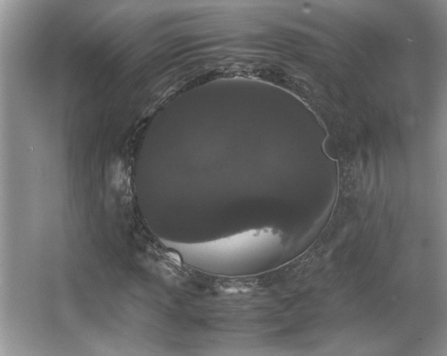 X0000067871013200604131230