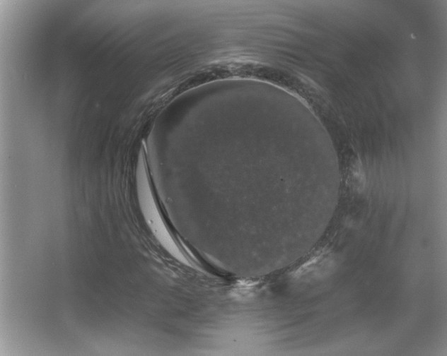 X0000067871014200604131230