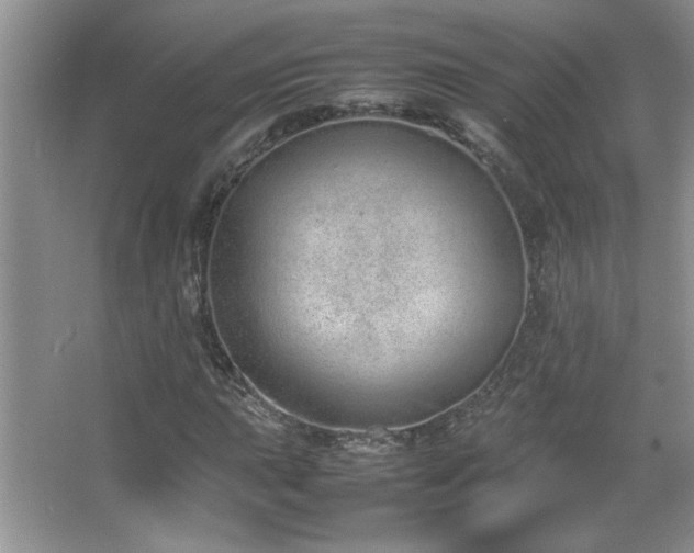 X0000067871015200604131230