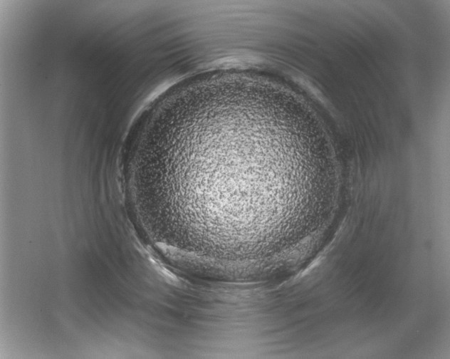 X0000067871018200604131230