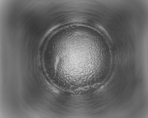 X0000067871019200604131230