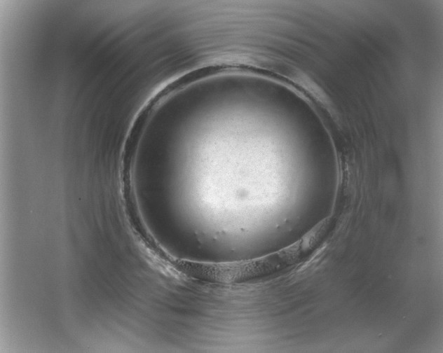 X0000067871020200604131230