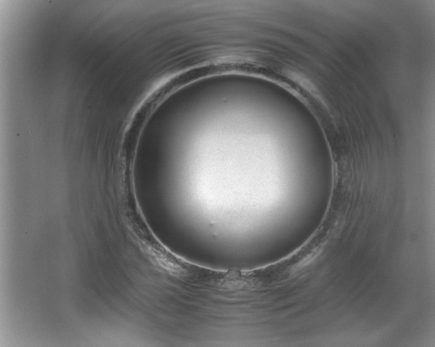 X0000067871021200604131230