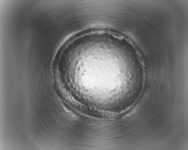 X0000067871022200604131230