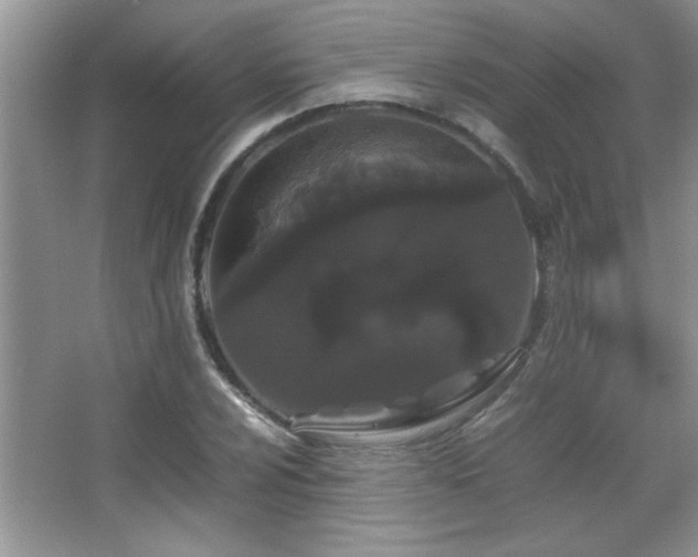 X0000067871024200604131230