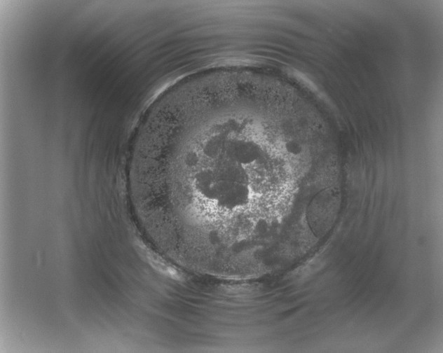 X0000067871025200604131230