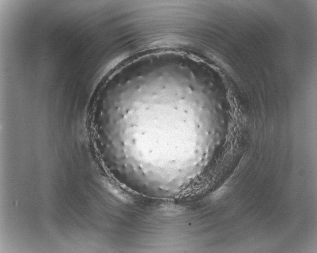 X0000067871026200604131231