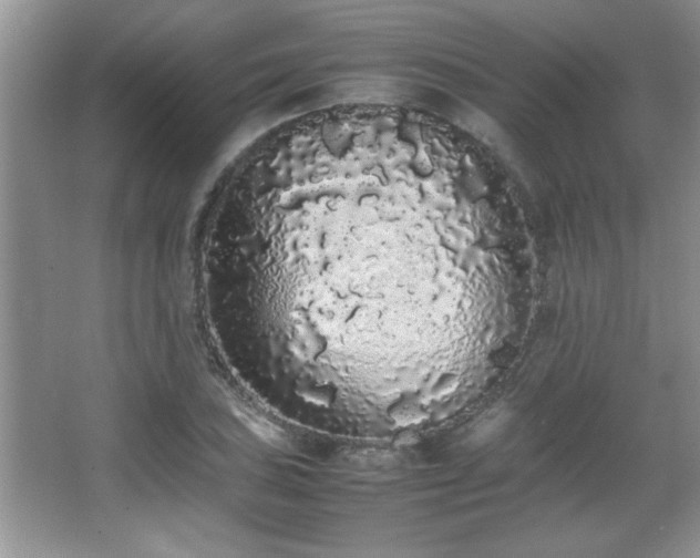 X0000067871027200604131231