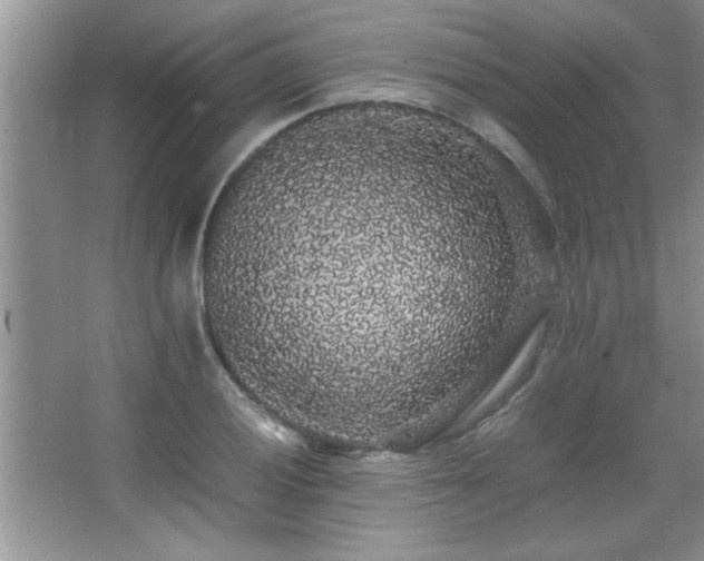 X0000067871028200604131231