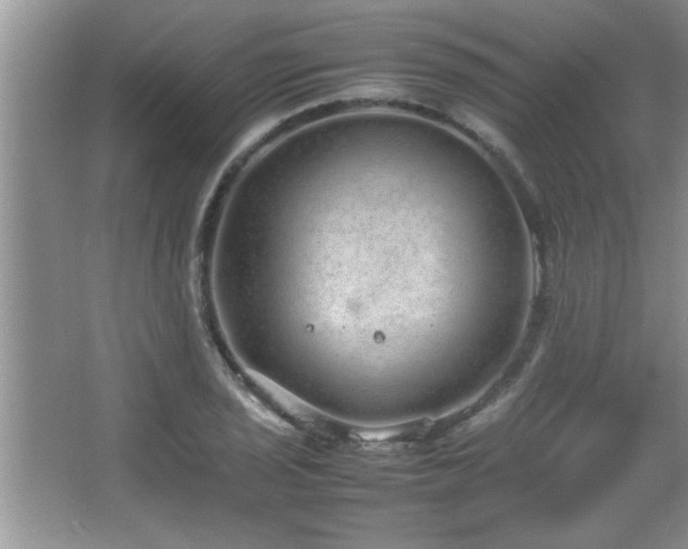 X0000067871029200604131231