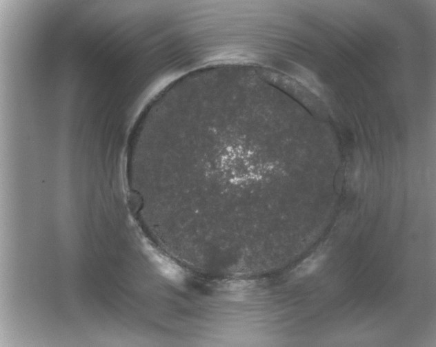 X0000067871030200604131231