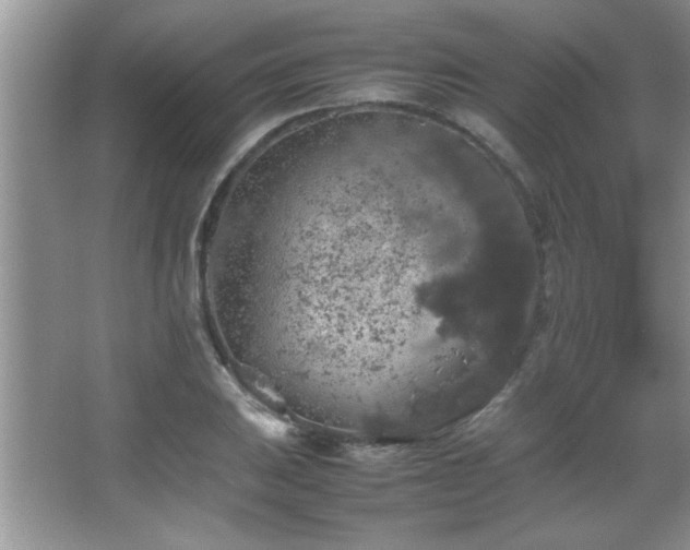 X0000067871031200604131231