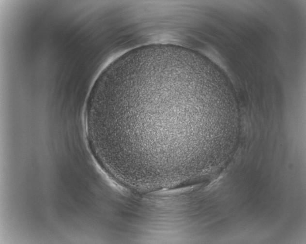 X0000067871032200604131231