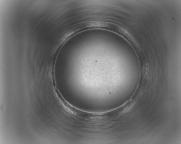 X0000067871033200604131231