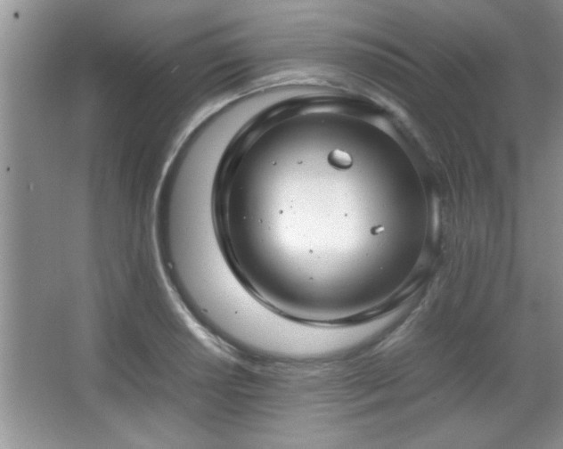 X0000067871034200604131231