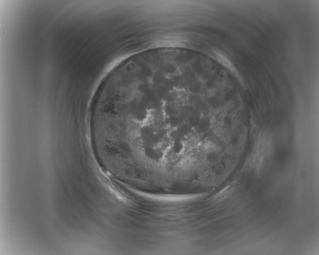 X0000067871035200604131231