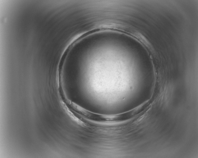 X0000067871036200604131231