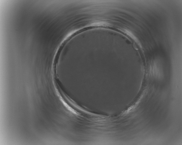 X0000067871037200604131231