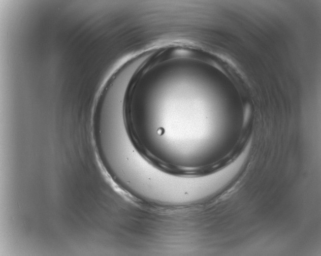 X0000067871038200604131231