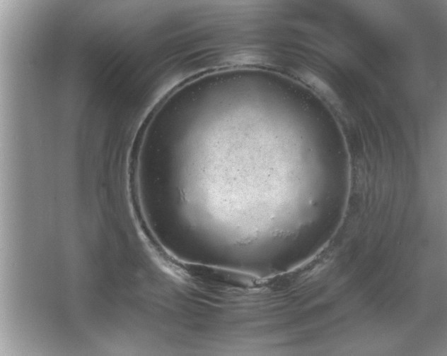 X0000067871039200604131231